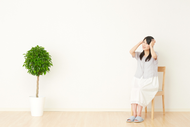 観葉植物につく黒い虫の正体と駆除方法！植物への影響や対策方法は？