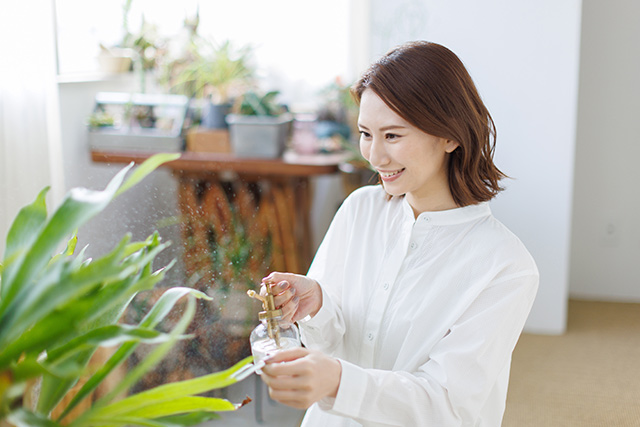 観葉植物を枯らさない水やりの方法