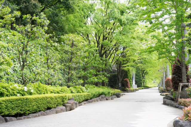 「造園」の意味や使い方は?用語・仕事内容・植木屋との違いも解説