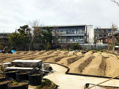 近畿大学薬草園
