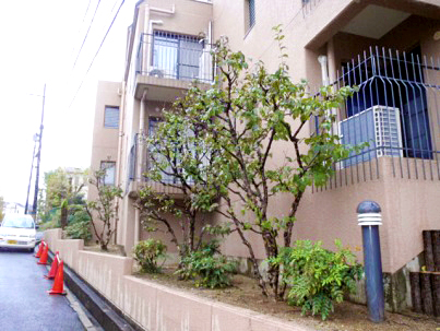 サンライズマンションドムス和泉砂川