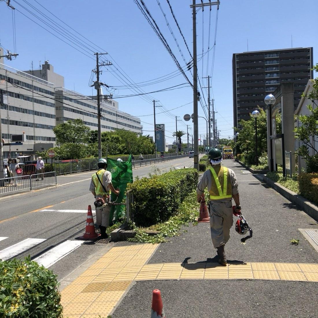 街路樹・公共緑地の維持管理